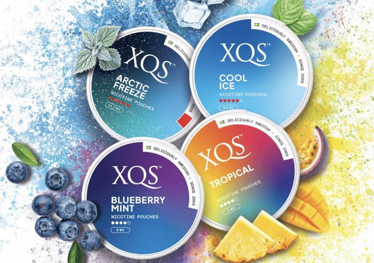 XQS Nicotine Pouches